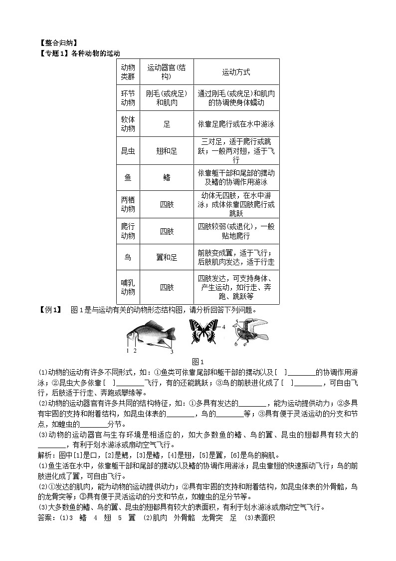 人教版生物八年级上册 第五单元第一章 复习课单元测试第2页