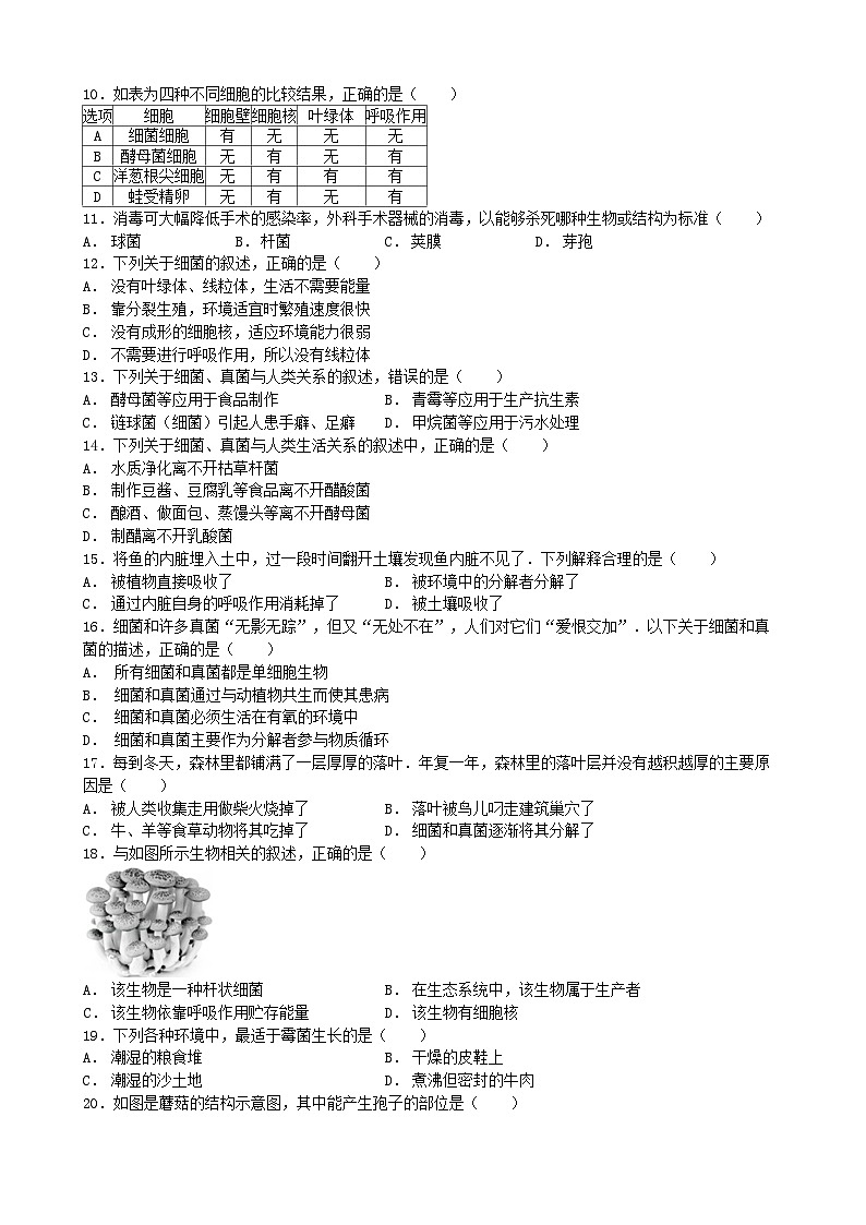 人教版生物八年级上册 第五单元第四章 细菌和真菌单元测试第2页