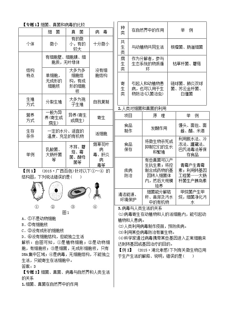人教版生物八年级上册 第五单元第四、五章 复习课单元测试03