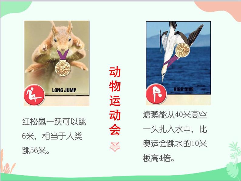人教版生物八年级上册 5.2.1动物的运动课件第3页