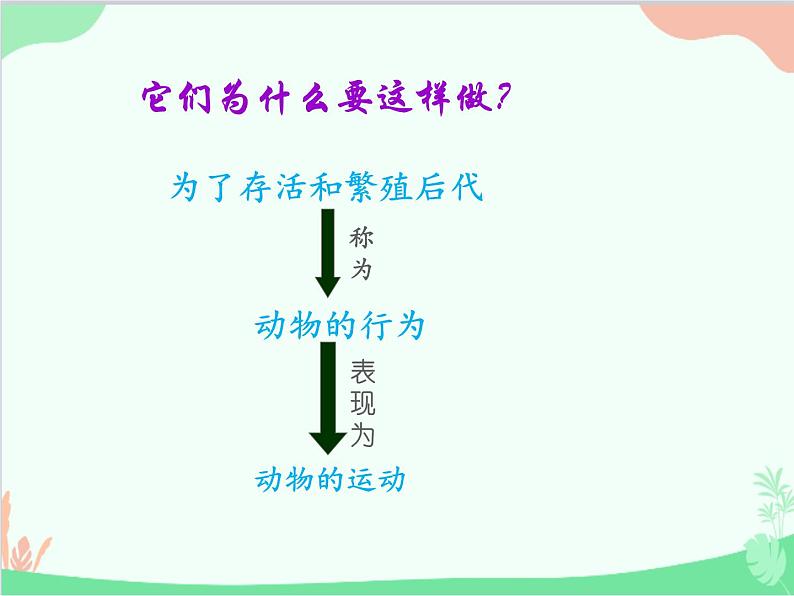 人教版生物八年级上册 5.2.1动物的运动课件第5页