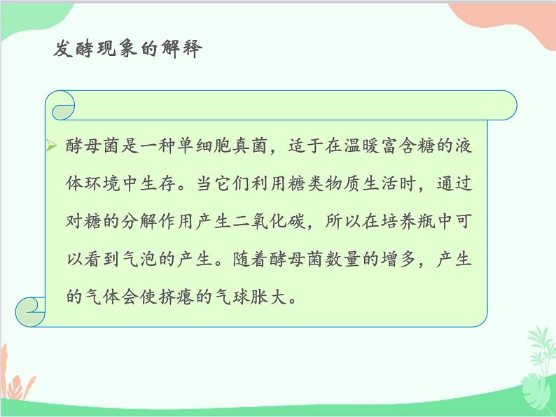 人教版生物八年级上册 5.4.5人类对细菌和真菌的利用课件第6页