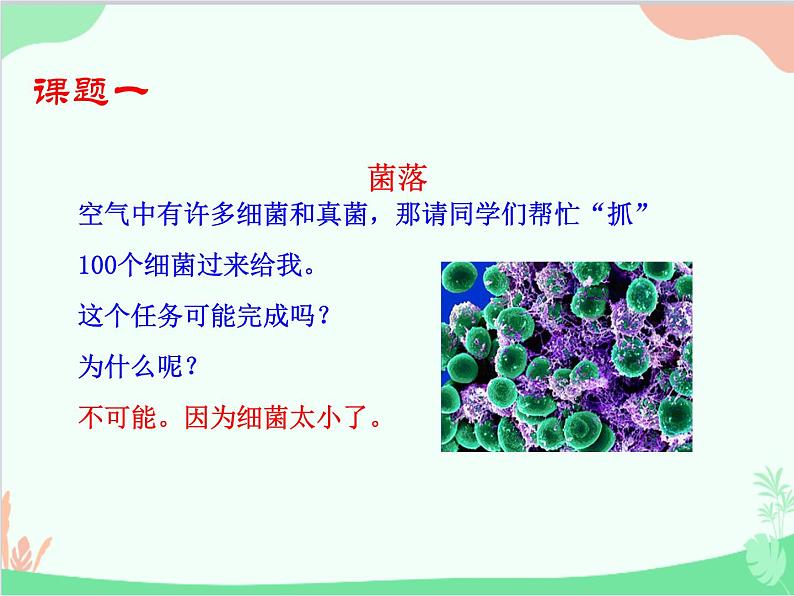 人教版生物八年级上册 5.4.1 细菌和真菌的分布课件第3页