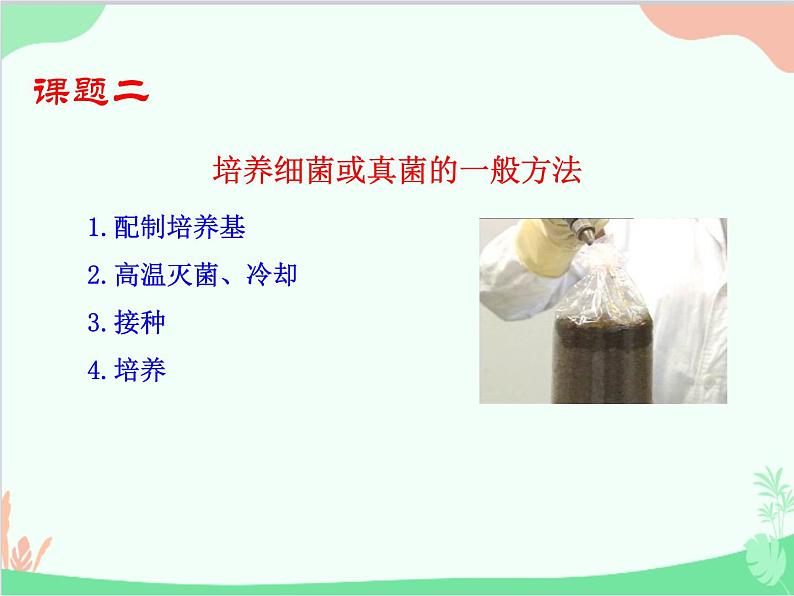人教版生物八年级上册 5.4.1 细菌和真菌的分布课件第8页