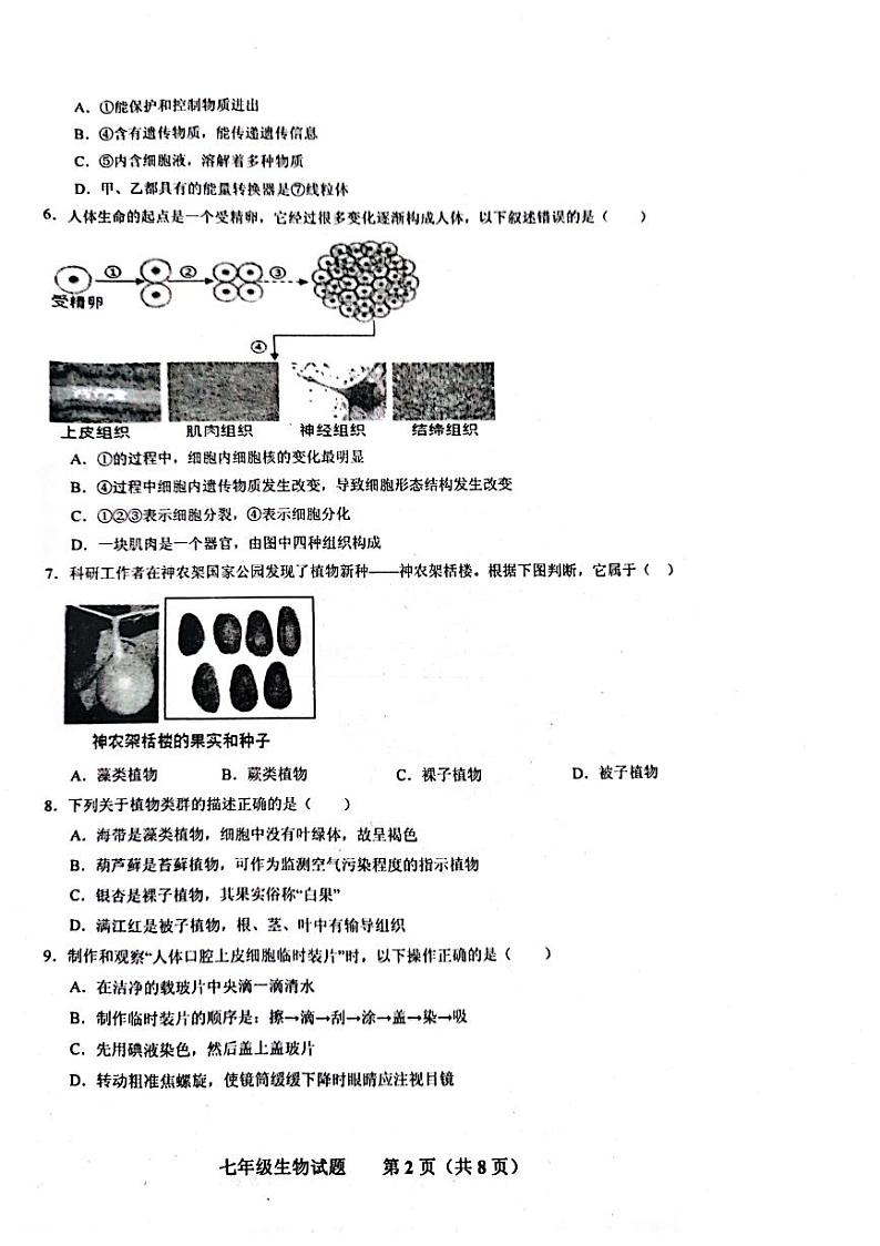 山东省济南市商河县四校2023-2024学年七年级上学期期中考试生物试题第2页