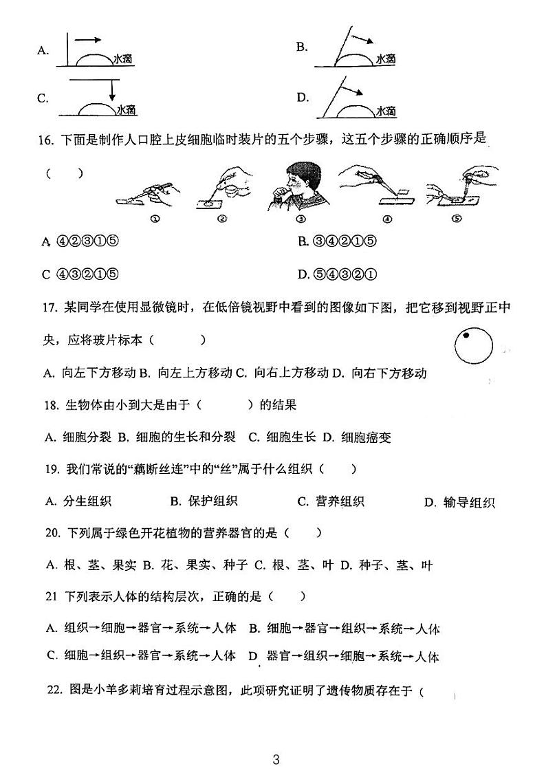 天津市西青区当城中学2023-2024学年七年级上学期期中考试生物试题第3页