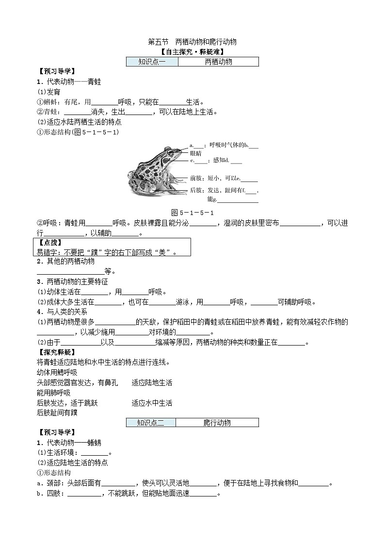 人教版生物八年级上册 第五单元第一章第五节 两栖动物和爬行动物学案01