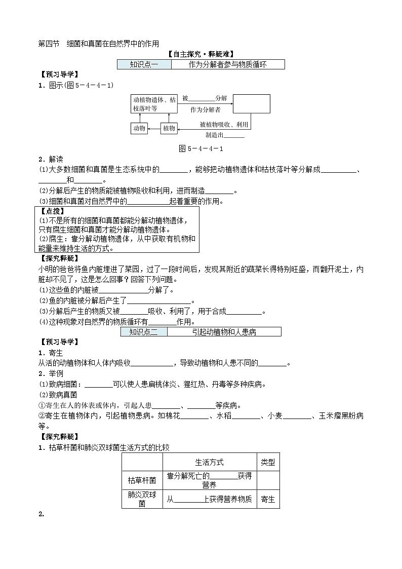 人教版生物八年级上册 第五单元第四章第四节 细菌和真菌在自然界中的作用 (2)学案01