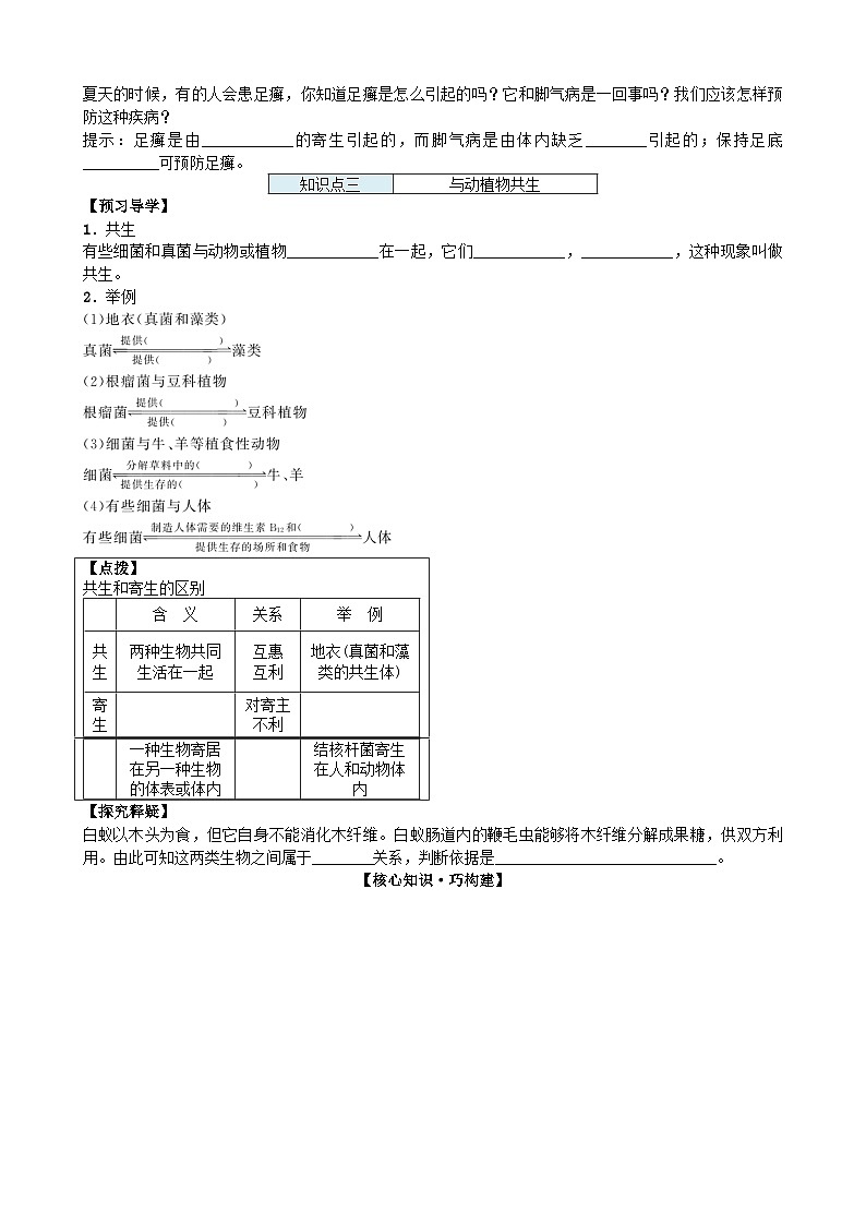 人教版生物八年级上册 第五单元第四章第四节 细菌和真菌在自然界中的作用 (2)学案02