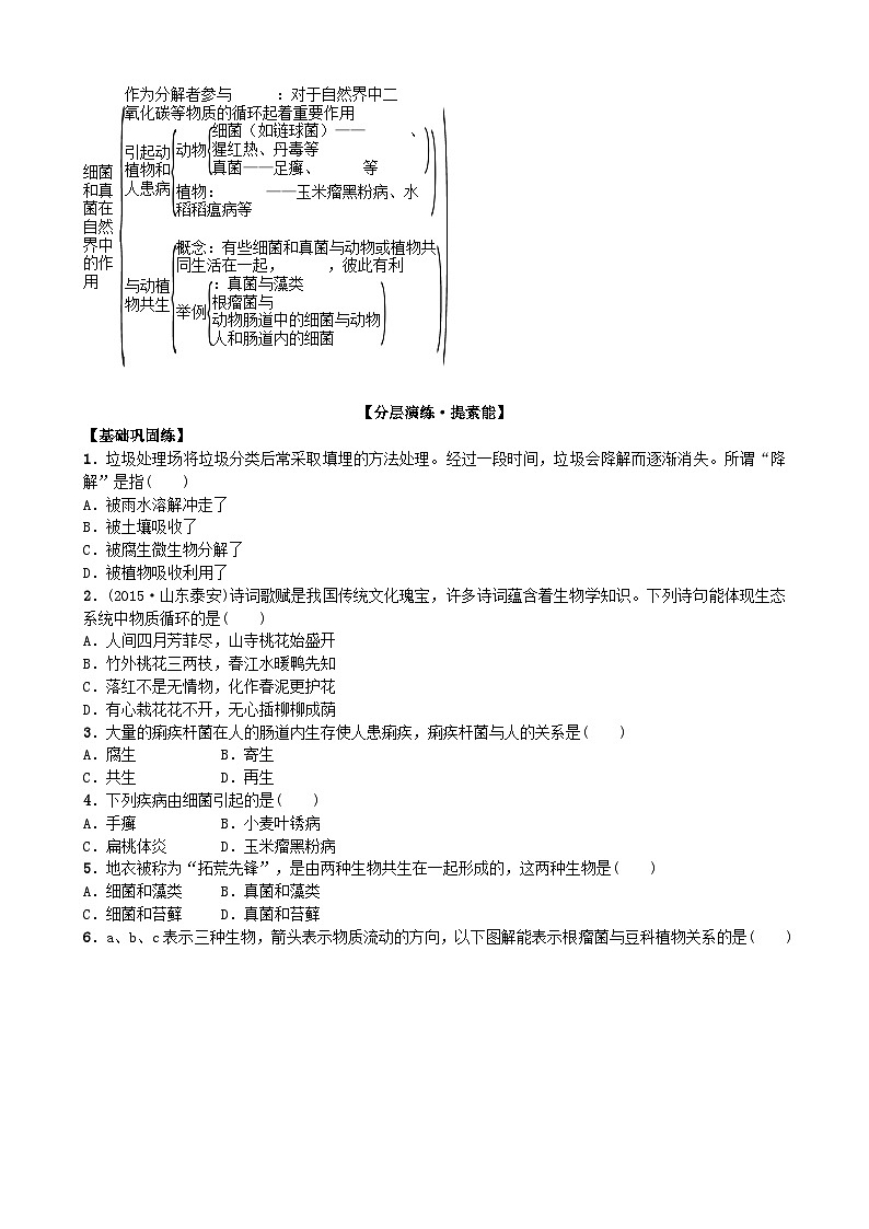 人教版生物八年级上册 第五单元第四章第四节 细菌和真菌在自然界中的作用 (2)学案03