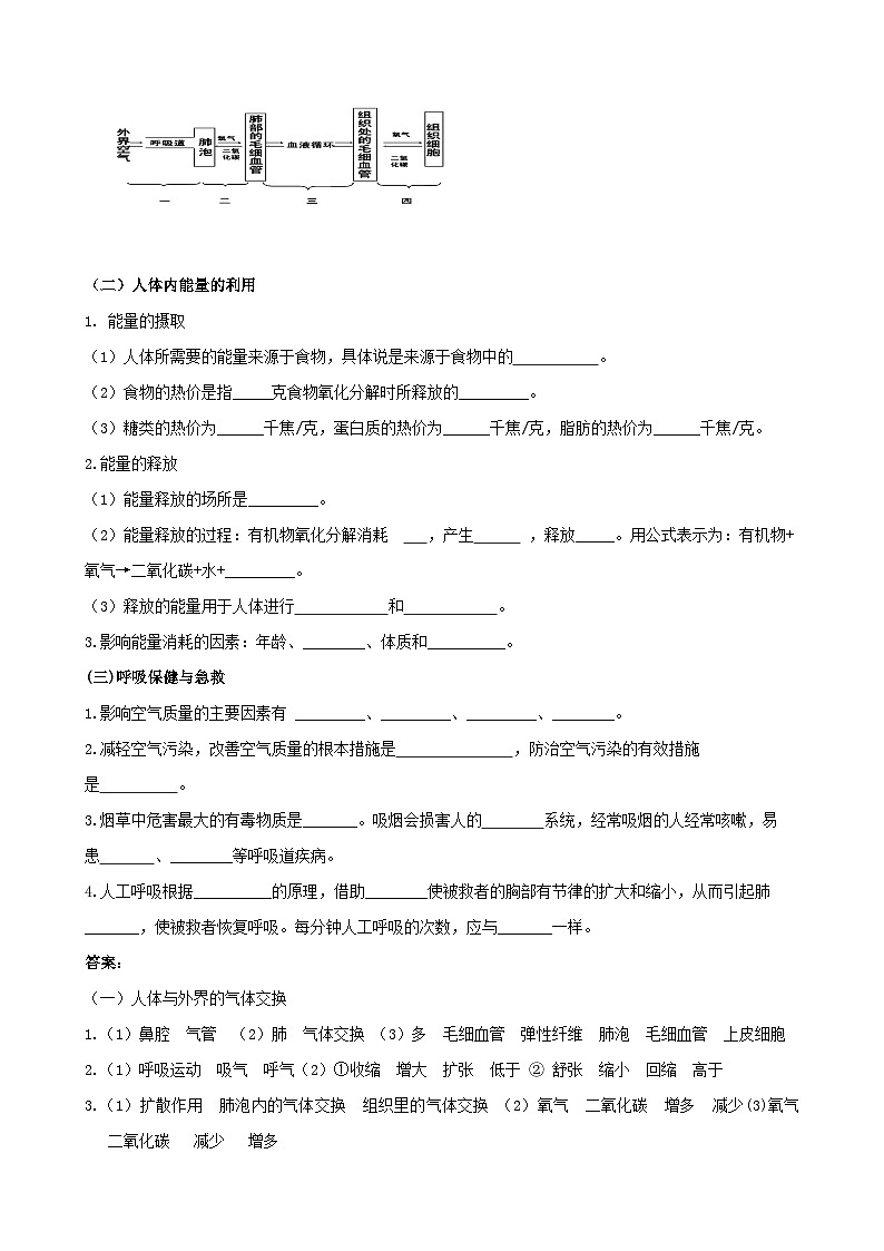 济南版生物七下 第三单元 第二章 11--人的生活需要空气(复习) 教案03