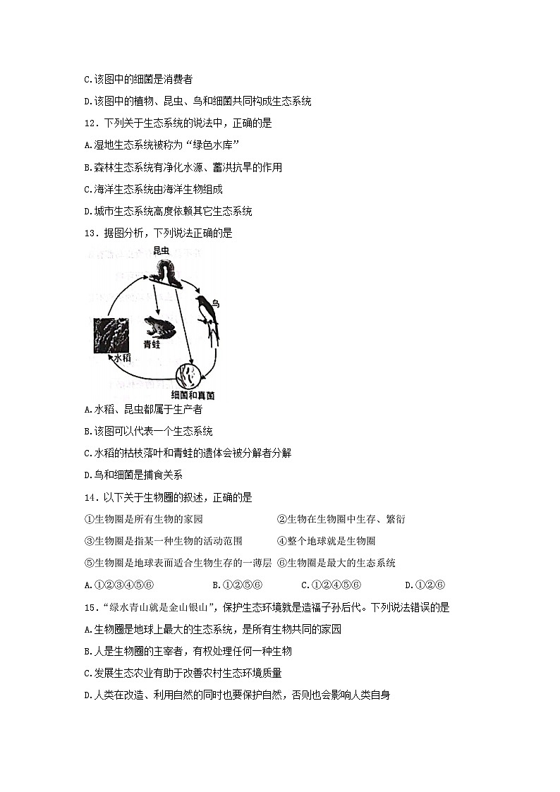 山东省泰安市岱岳区2023-2024学年六年级上学期期中生物试题(word版含答案)第3页