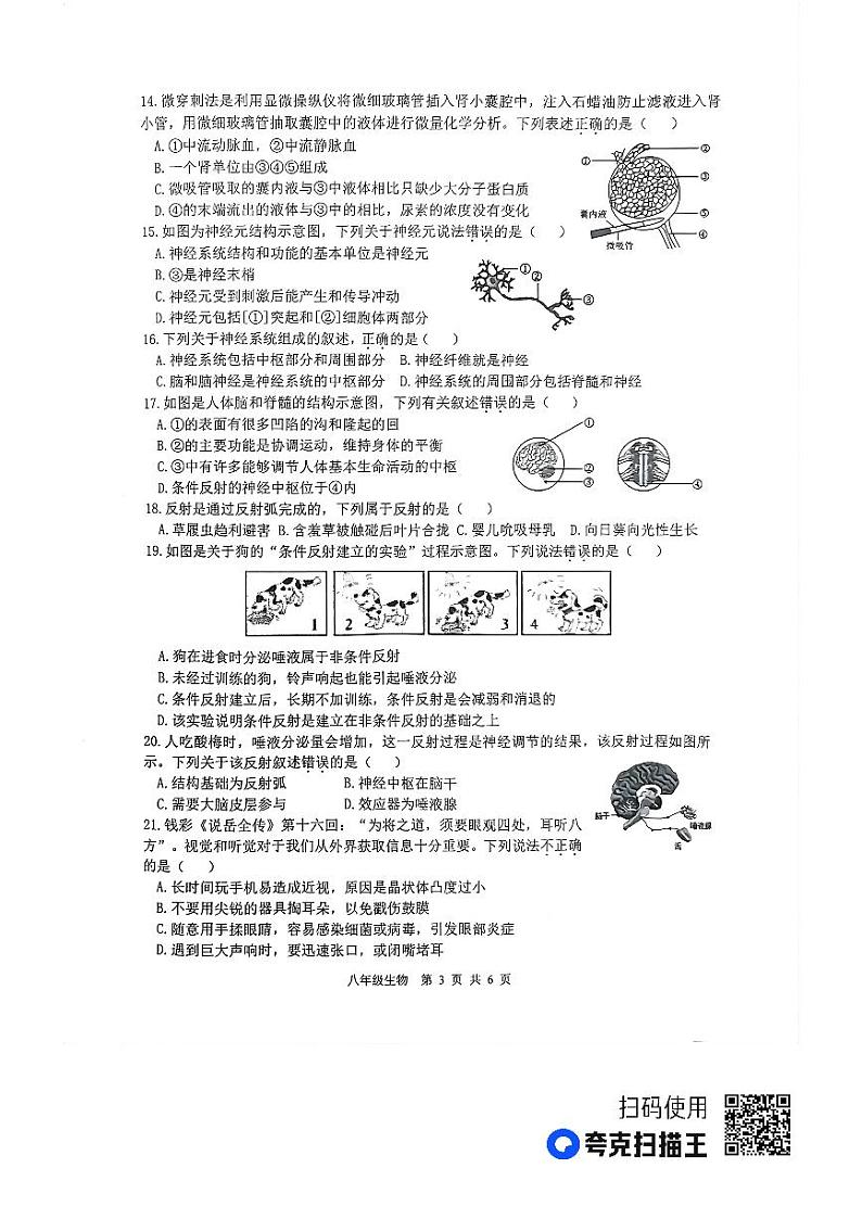 江苏省徐州市2023-2024学年度八年级第一学期期中检测生物试题第3页