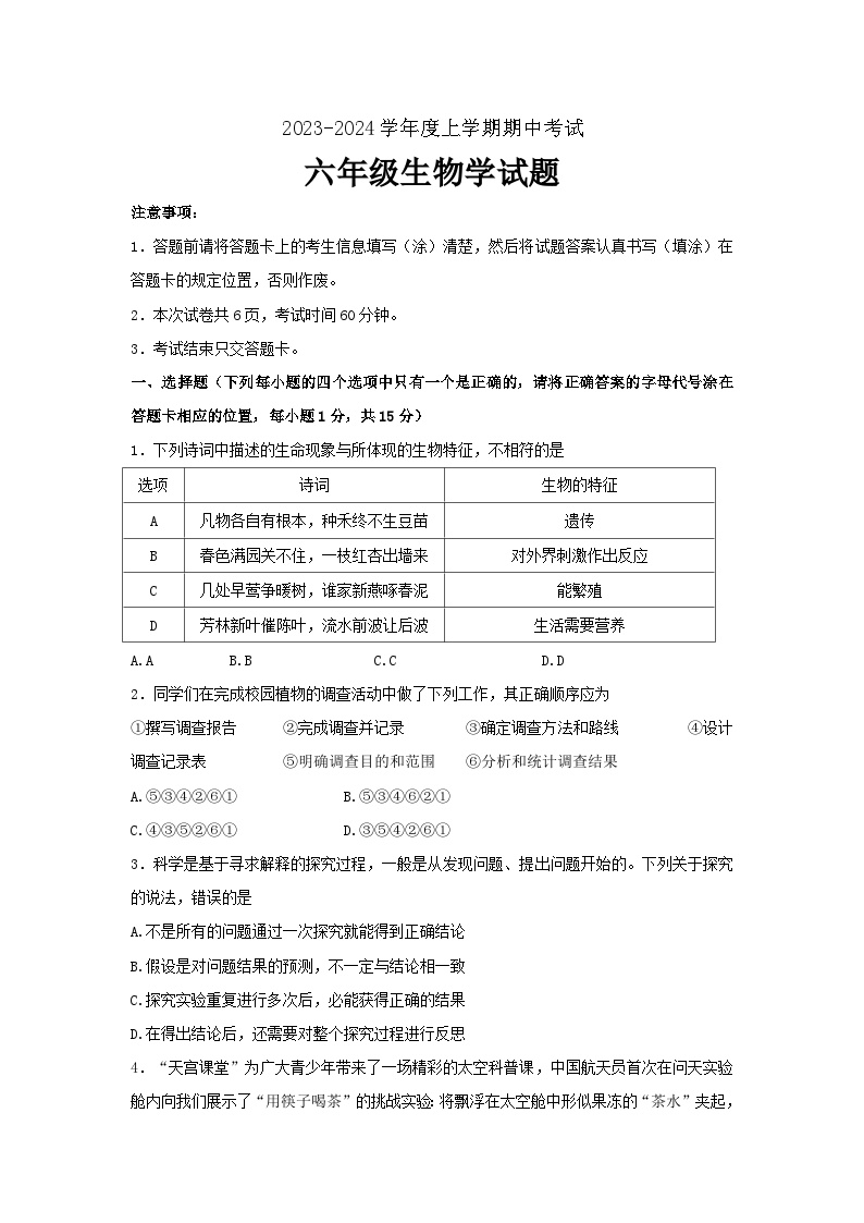 山东省泰安市肥城市2023-2024学年六年级上学期期中考试生物试卷(word版含答案）