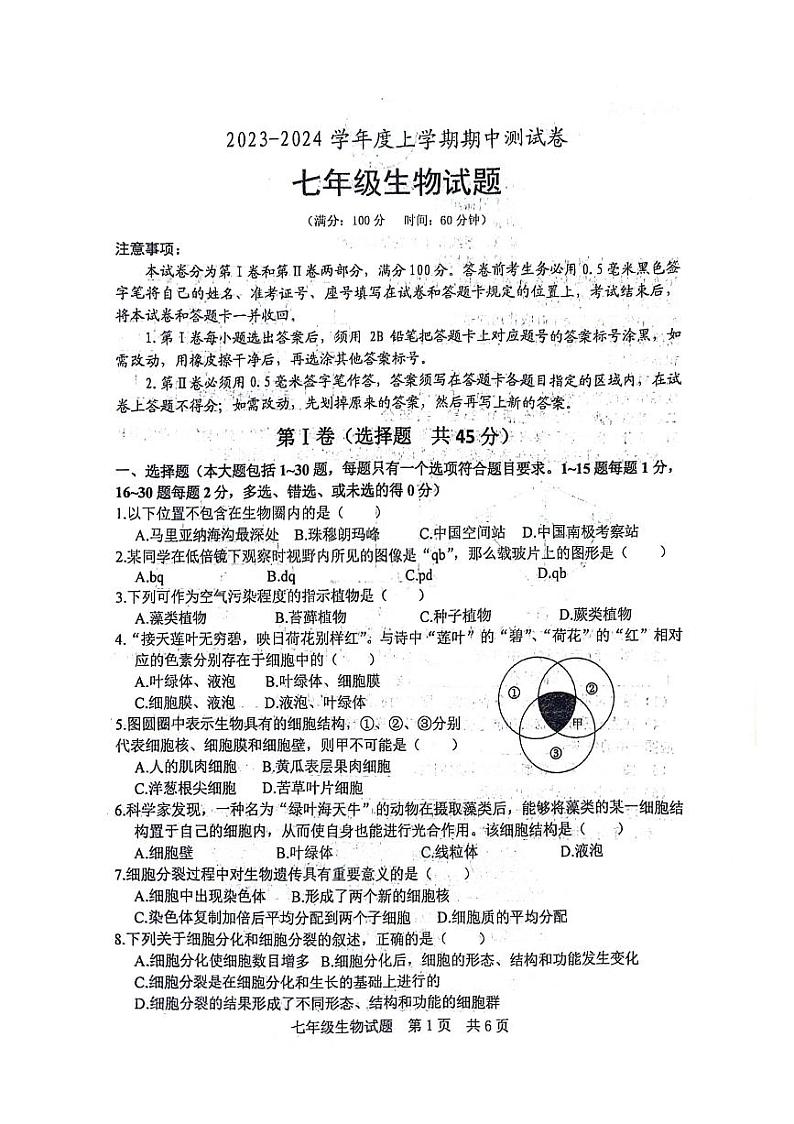 山东省日照市日照港中学2023-2024学年七年级上学期期中考试生物学试卷第1页
