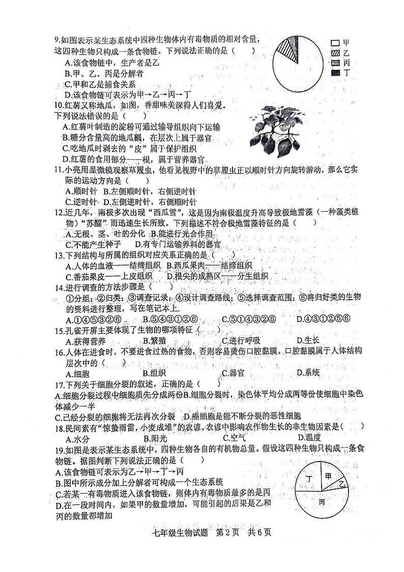 山东省日照市日照港中学2023-2024学年七年级上学期期中考试生物学试卷第2页