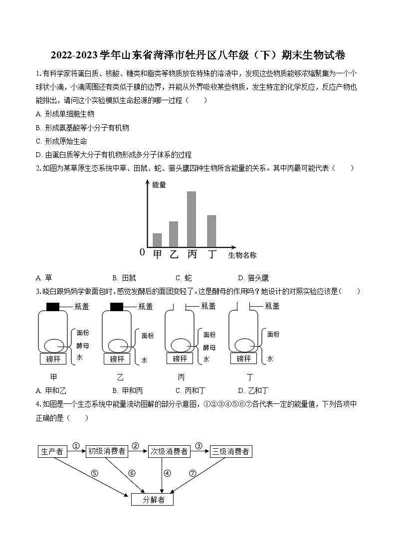 2022-2023学年山东省菏泽市牡丹区八年级(下)期末生物试卷(含答案解析)01