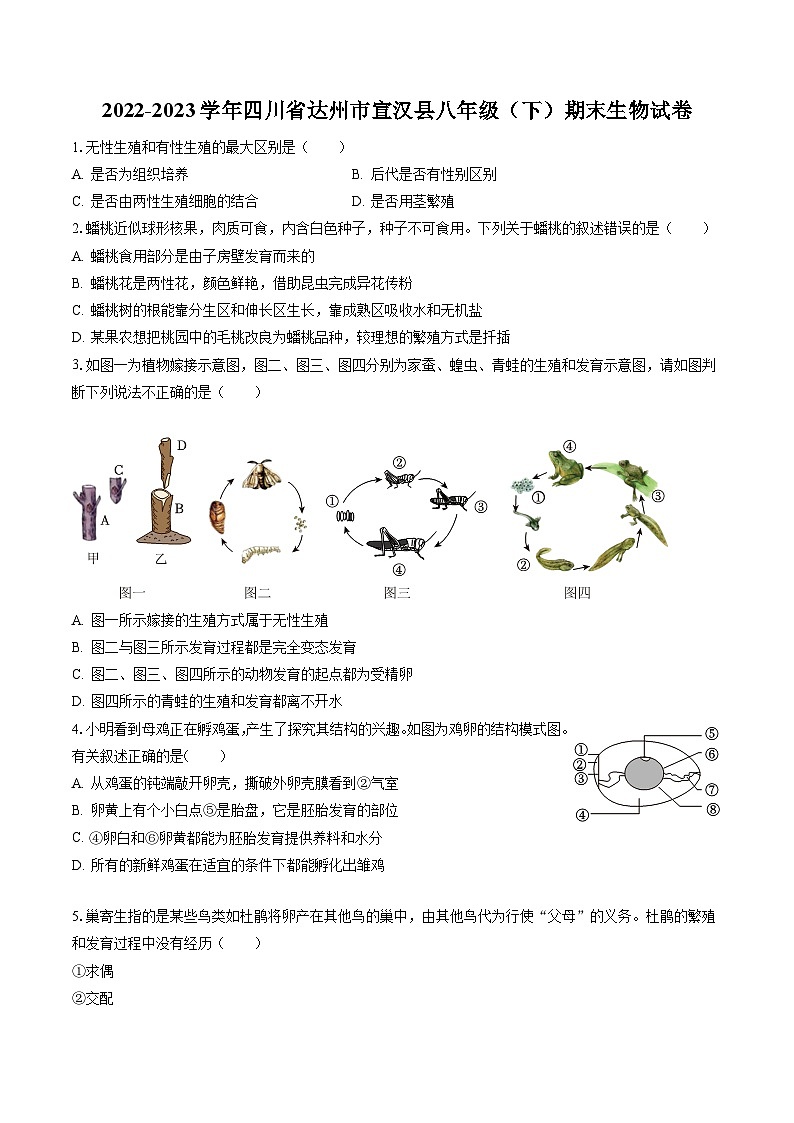 2022-2023学年四川省达州市宣汉县八年级(下)期末生物试卷(含答案解析)第1页