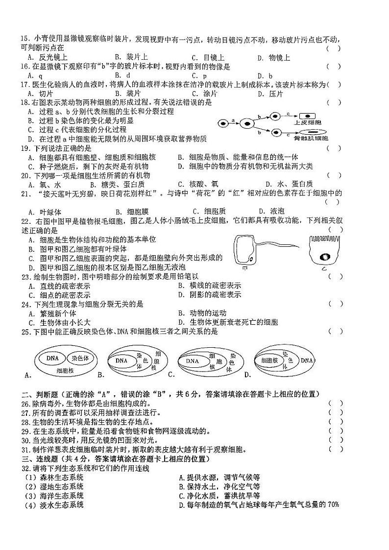 湖南省湘潭市湘潭江声实验学校2023-2024学年七年级上学期期中生物试题第2页