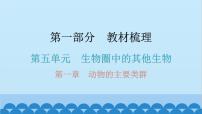 2024年中考生物一轮复习 第五单元第一章 动物的主要类群课件