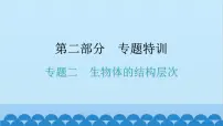 2024年中考生物复习 专题二 生物体的结构层次课件