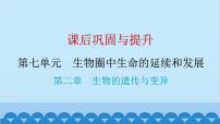 2024年中考生物一轮复习 第七单元第二章 生物的遗传与变异课件