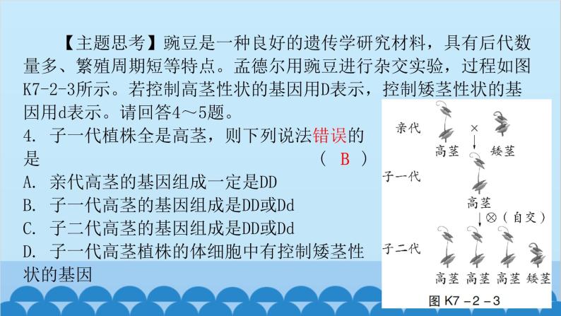 2024年中考生物一轮复习 第七单元第二章 生物的遗传与变异课件06