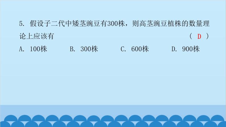 2024年中考生物一轮复习 第七单元第二章 生物的遗传与变异课件07