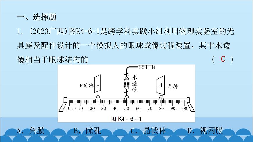 2024年中考生物一輪復習 第四單元第六章 人體生命活動的調(diào)節(jié) 第七章 人類活動對生物圈的影響課件第2頁