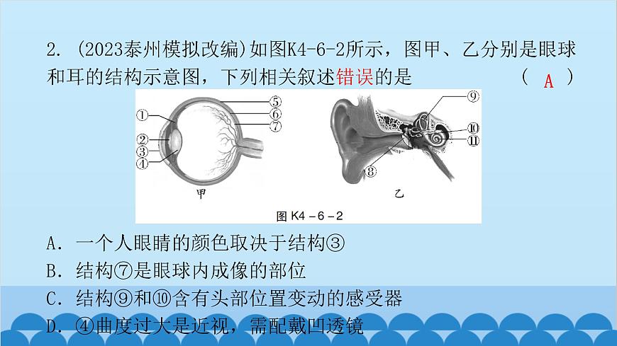 2024年中考生物一輪復習 第四單元第六章 人體生命活動的調(diào)節(jié) 第七章 人類活動對生物圈的影響課件第4頁