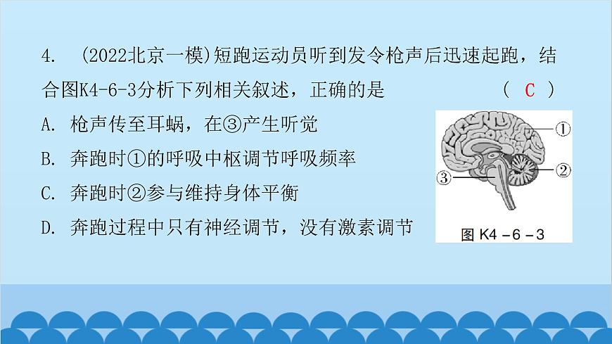 2024年中考生物一輪復習 第四單元第六章 人體生命活動的調(diào)節(jié) 第七章 人類活動對生物圈的影響課件第6頁