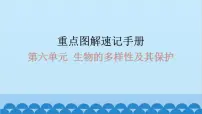 2024年中考生物复习 第六单元 生物的多样性及其保护课件