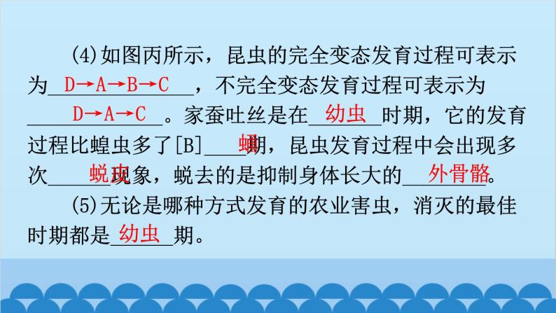 2024年中考生物复习 第七单元 生物圈中生命的延续和发展课件07