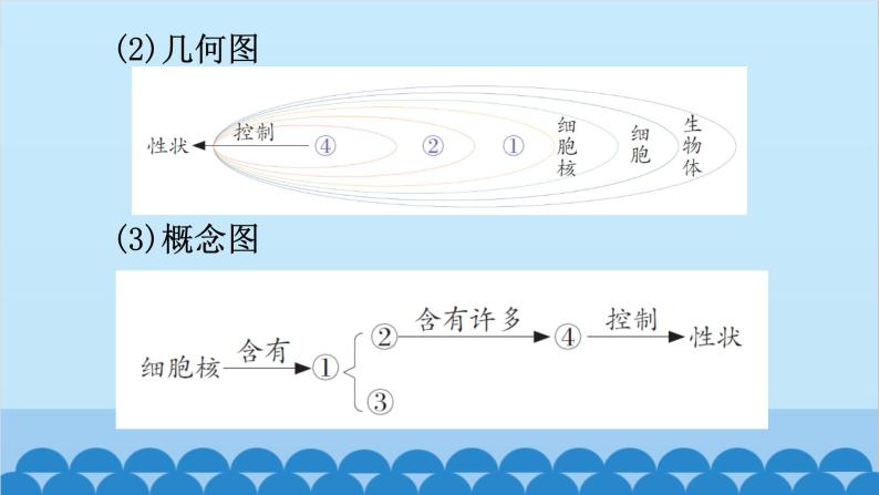 2024年中考生物复习 第七单元 生物圈中生命的延续和发展课件06