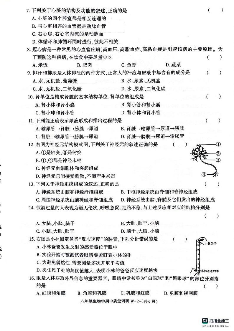 陕西省渭南市临渭区2023-2024学年八年级上学期期中生物试题第2页