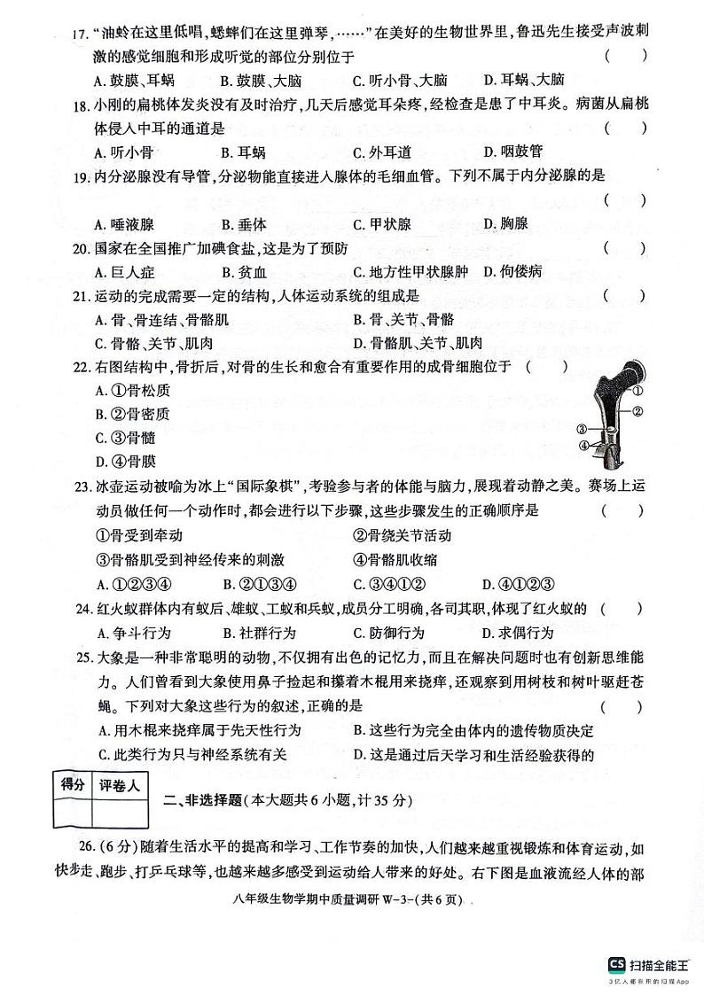 陕西省渭南市临渭区2023-2024学年八年级上学期期中生物试题第3页