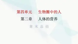 人教版七年级生物下册第二章第二章章末总结课件