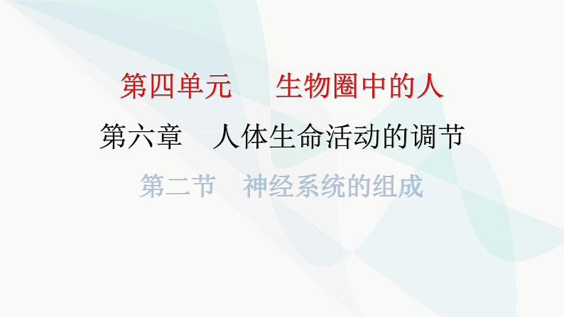 人教版七年级生物下册第六章第二节神经系统的组成课件01