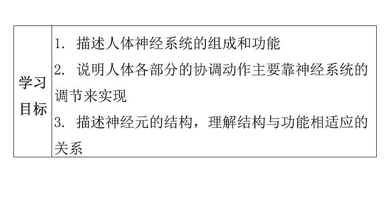 人教版七年级生物下册第六章第二节神经系统的组成课件05
