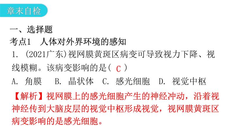 人教版七年级生物下册第六、第七章章末总结课件07