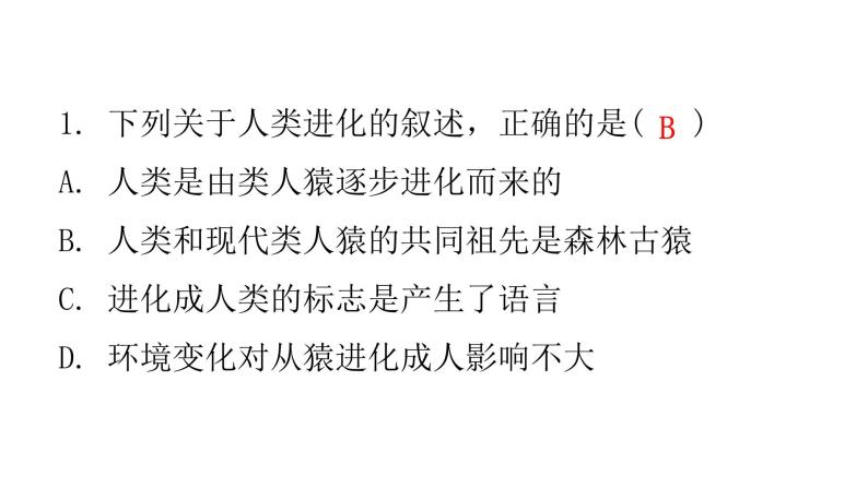 人教版七年级生物下册期末过关训练二课件03