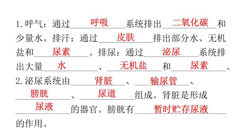 人教版七年级生物下册第五章人体内废物的排出练习课件02