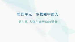 人教版七年级生物下册第六章人体生命活动的调节练习课件