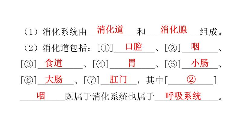 人教版七年级生物下册第二章人体的营养课件03