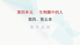 人教版七年级生物下册第四、第五章章末总结课件