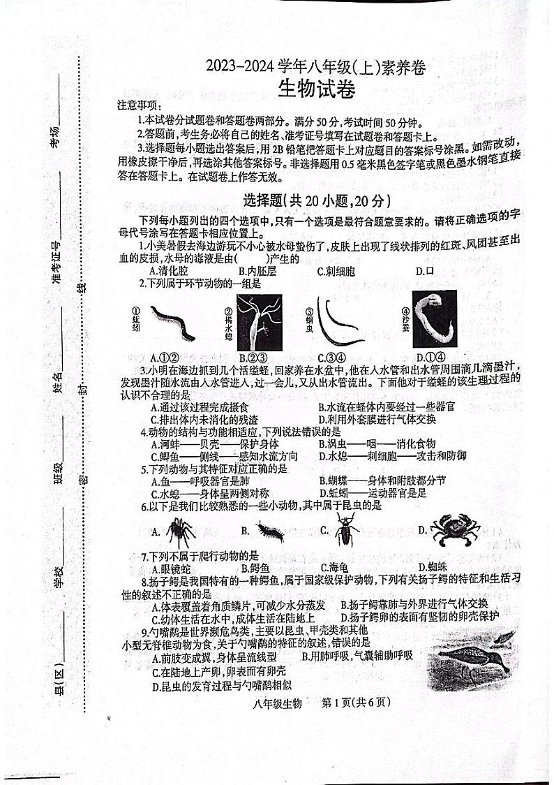 河南省焦作市温县2023-2024学年八年级上学期期中生物试题第1页