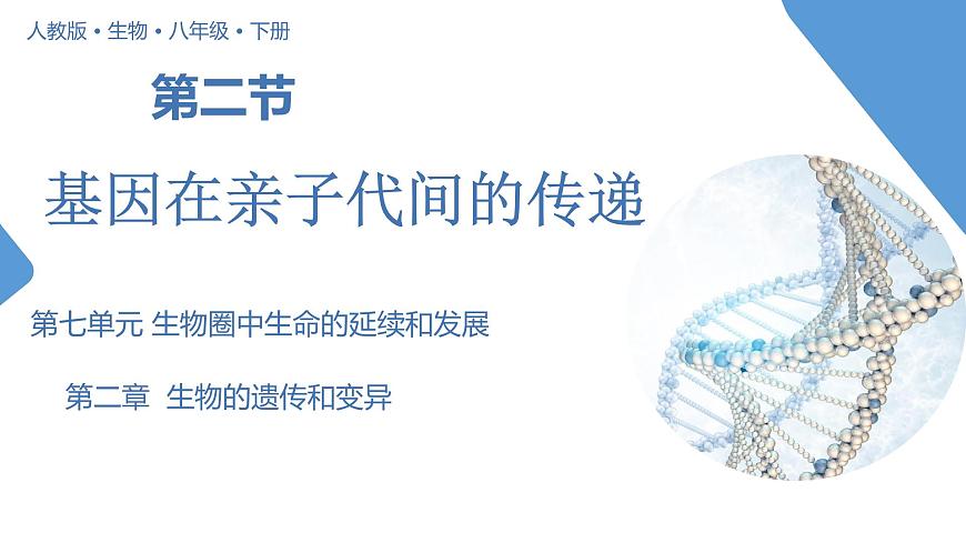 【核心素養(yǎng)】人教版八年級(jí)下冊(cè)7.2.2《基因在親子代之間傳遞》課件第1頁(yè)