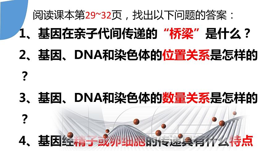 【核心素養(yǎng)】人教版八年級(jí)下冊(cè)7.2.2《基因在親子代之間傳遞》課件第4頁(yè)