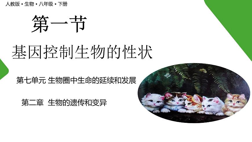 【核心素養(yǎng)】人教版八年級下冊7.2.1《基因控制生物的性狀》課件第1頁