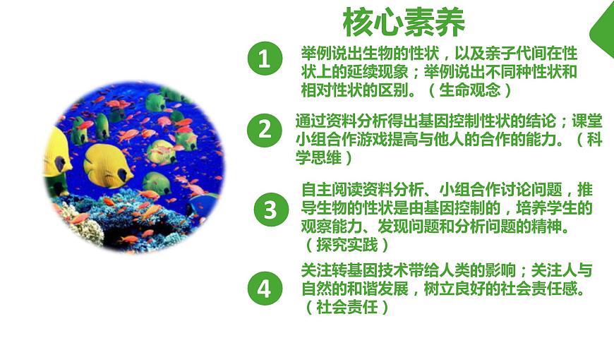 【核心素養(yǎng)】人教版八年級下冊7.2.1《基因控制生物的性狀》課件第2頁